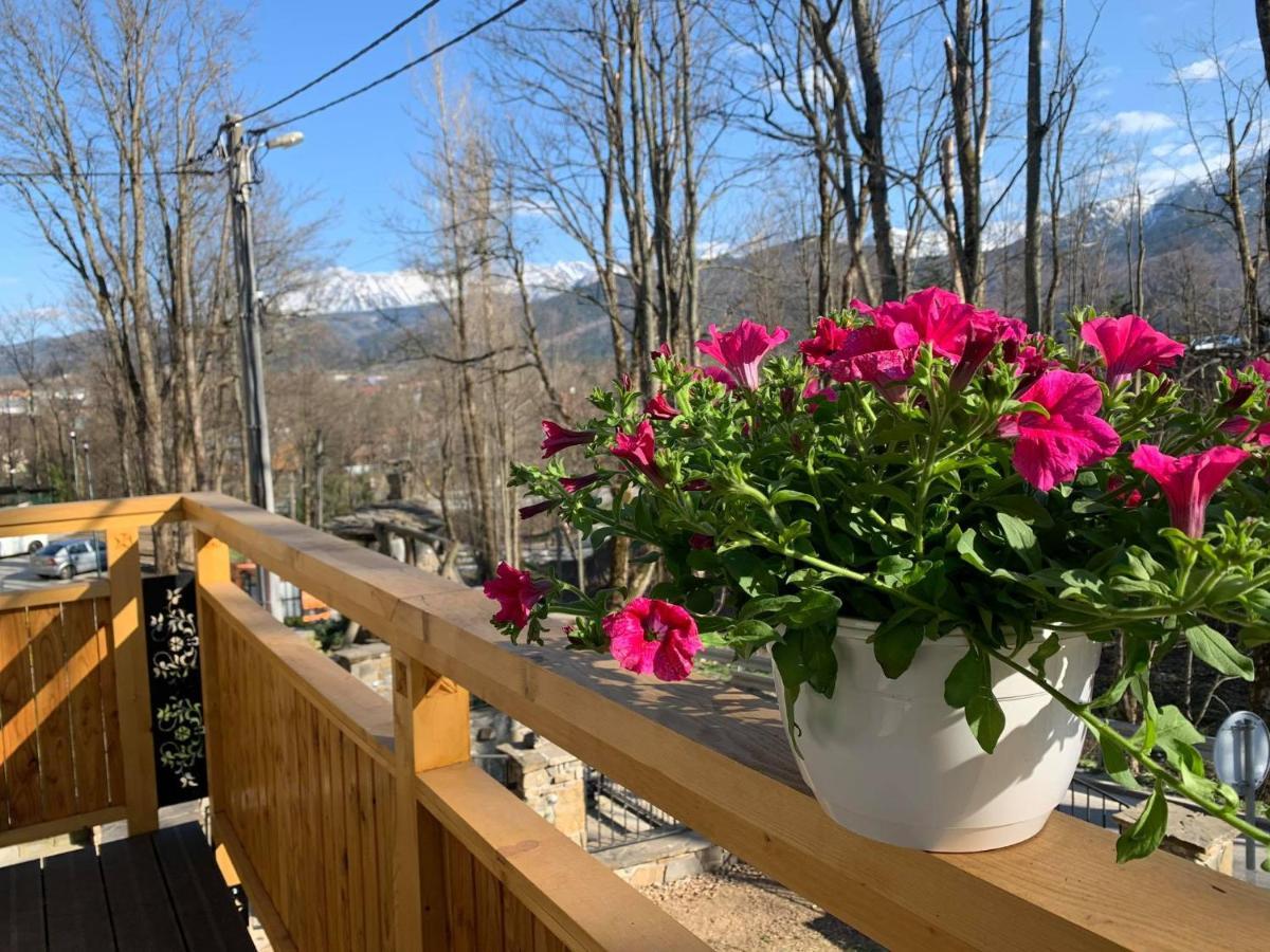 Wysoka Privatunterkunft Zakopane